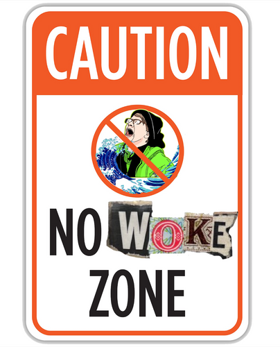 NO WOKE ZONE STICKER